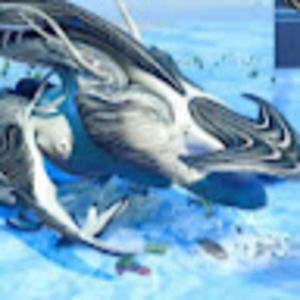 Meet your Posher, Don